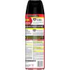 imageRaid Ant ampamp Roach Killer 26 Fragrance Free Bug Killer for Home Use Kills Bugs on Contact 175 Oz 2 Count1 Can