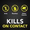 imageRaid Ant ampamp Roach Killer 26 Fragrance Free Bug Killer for Home Use Kills Bugs on Contact 175 Oz 2 Count1 Can