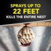 imageRaid Wasp ampamp Hornet Killer Spray Bug Killer Kills the Entire Nest 14 Oz 2 Count
