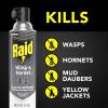 imageRaid Wasp ampamp Hornet Killer Spray Bug Killer Kills the Entire Nest 14 Oz 2 Count