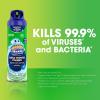 imageScrubbing Bubbles Mega Bathroom and Shower Foamer Aerosol Rainshower Scent 20oz Pack of 220 Ounce Pack of 1