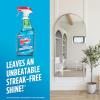imageWindex Glass and Window Cleaner Spray Bottle Packaging Designed to Prevent Leakage and Breaking Surface Cleaning Spray Original Blue Scent 23 Fl Oz23 Fl Oz Pack of 1