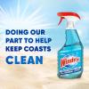 imageWindex Glass and Window Cleaner Spray Bottle Packaging Designed to Prevent Leakage and Breaking Surface Cleaning Spray Original Blue Scent 23 Fl Oz676 Fl Oz Pack of 1
