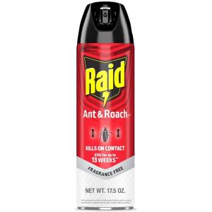 imageRaid Ant ampamp Roach Killer 26 Fragrance Free Bug Killer for Home Use Kills Bugs on Contact 175 Oz 2 Count1 Can
