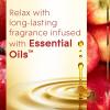 imageGlade PlugIns Refills Air Freshener Scented and Essential Oils for Home and Bathroom Cashmere Woods 67 Fl Oz 10 Count Packaging May VaryApple Cinnamon