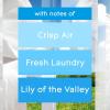 imageGlade PlugIns Refills Air Freshener Scented and Essential Oils for Home and Bathroom Cashmere Woods 67 Fl Oz 10 Count Packaging May VaryClean Linen