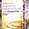 imageGlade PlugIns Refills Air Freshener Scented and Essential Oils for Home and Bathroom Cashmere Woods 67 Fl Oz 10 Count Packaging May VaryLavender  Vanilla
