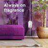 imageGlade PlugIns Refills Air Freshener Scented and Essential Oils for Home and Bathroom Cashmere Woods 67 Fl Oz 10 Count Packaging May VaryLavender  Vanilla