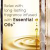 imageGlade PlugIns Refills Air Freshener Scented and Essential Oils for Home and Bathroom Cashmere Woods 67 Fl Oz 10 Count Packaging May VarySheer Vanilla Embrace