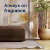 imageGlade PlugIns Refills Air Freshener Scented and Essential Oils for Home and Bathroom Cashmere Woods 67 Fl Oz 10 Count Packaging May VarySheer Vanilla Embrace