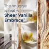 imageGlade PlugIns Refills Air Freshener Scented and Essential Oils for Home and Bathroom Cashmere Woods 67 Fl Oz 10 Count Packaging May VarySheer Vanilla Embrace
