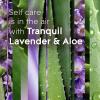 imageGlade PlugIns Refills Air Freshener Scented and Essential Oils for Home and Bathroom Cashmere Woods 67 Fl Oz 10 Count Packaging May VaryTranquil Lavender  Aloe