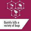 imageSTEM Kills Ants Roaches And Flies PlantBased Active Ingredient Bug Spray Botanical Insecticide For Indoor And Outdoor Use 12 fl oz Pack Of 1Unscented