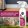 imageSTEM Kills Ants Roaches And Flies PlantBased Active Ingredient Bug Spray Botanical Insecticide For Indoor And Outdoor Use 12 fl oz Pack Of 1Unscented