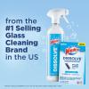imageWindex Dissolve Concentrated Pods Glass Cleaner Starter Kit contains 1 Reusable Bottle 3 Concentrated Dissolvable Pod