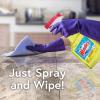 imageWindex Refill Multipurpose Disinfectant Cleaner Spray with Reusable Trigger Bottle Made from 100 Recovered Coastal Plastic Surface Cleaning Spray Citrus Fresh Scent 32 Fl Oz Pack of 3676 Fl Oz Pack of 1