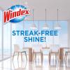 imageWindex Wipes Glass Cleaning Ammonia Free PreMoistened Glass and Surface Wipes to Clean Home Surfaces Household Essentials Original Scent 38 Count Pack of 638 Count Pack of 1