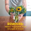 imagePledge Expert Care Enhancing Wood Wipes Lemon Scent 24 Count24 Count Pack of 1