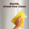 imagePledge Expert Care Stainless Steel Polish Fridge Spray Lemon Scent 97oz97 Fl Oz Pack of 1