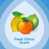 imagePledge Multisurface Cleaning Wipes pH Balanced Fresh Citrus 25 Count25 Count Pack of 1