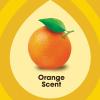 imagePledge Wood Oil Expert Care Trigger Orange Scent 16 oz Pack of 1