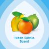 imagePledge pHBalanced Multisurface Cleaner Spray for Everyday Care Fresh Citrus Scent 25oz25 Fl Oz Pack of 3