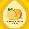 image:imagePledge Enhancing Polish Spray Wood Furniture amp Stainless Steel Polish Remove Dust and Fingerprints Fast Shine and Protect Prevent Scratches amp Knicks  Lemon Scent 97oz Pack of 697 Ounce Pack of 3